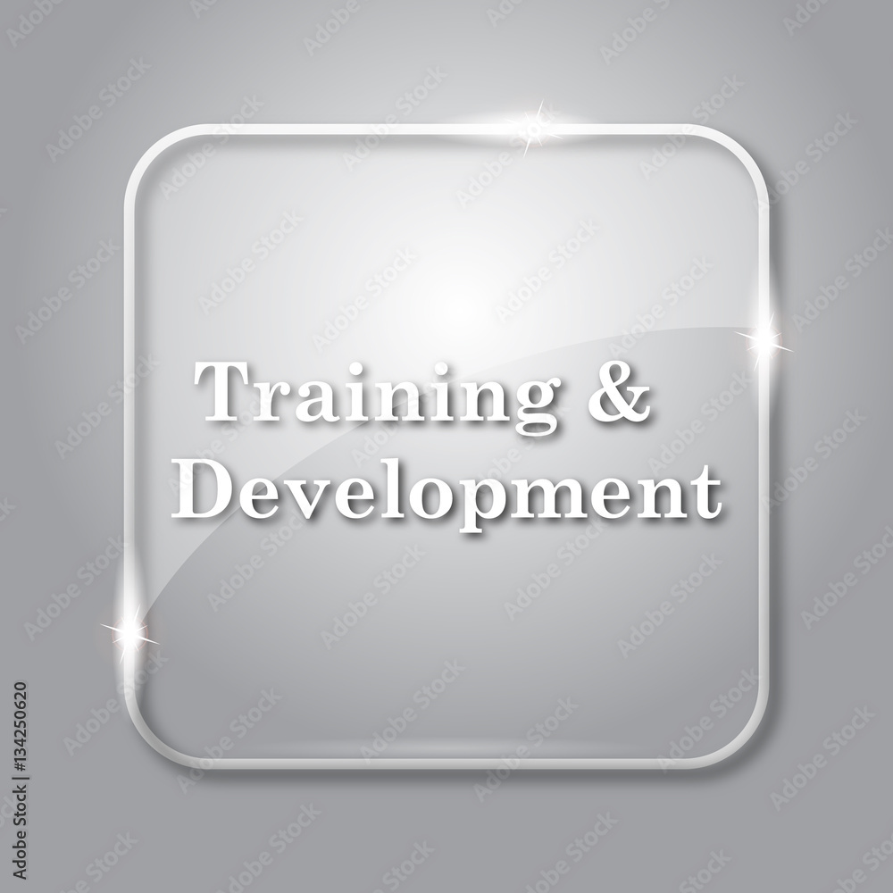 Training and development icon