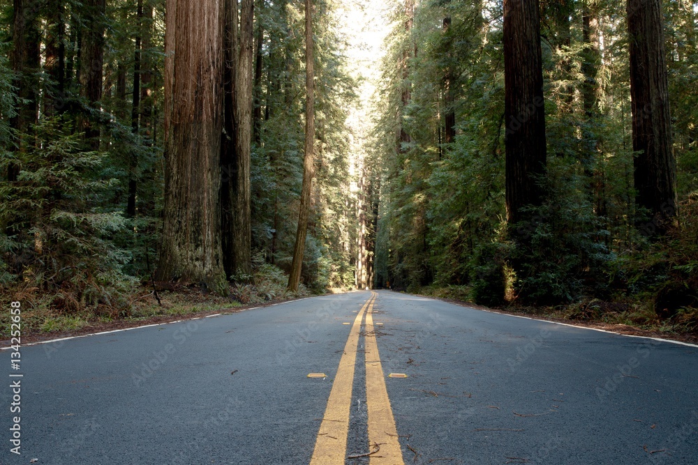 Obraz premium Road to Freedom