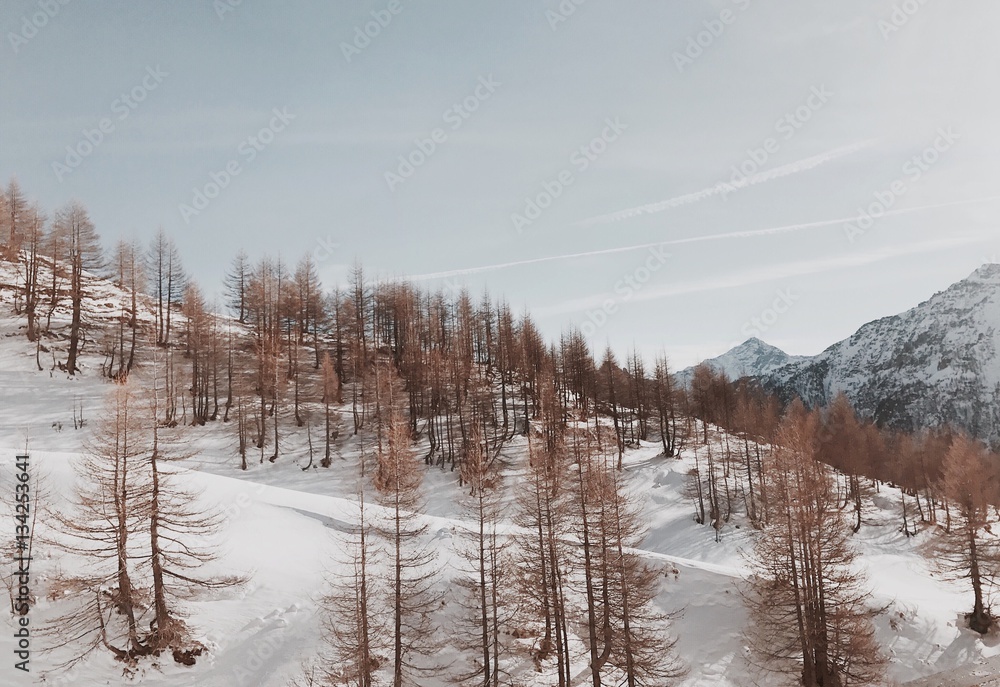 Snowy landscape - Italian alps