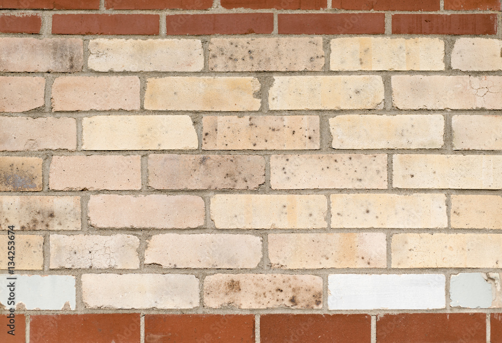 Obraz premium White Brick Wall with Red Border
