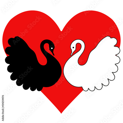 Vector illustration of black and white swans silhouette in love with red heart,cigni bianco e nero innamorati con cuore rosso sullo sfondo