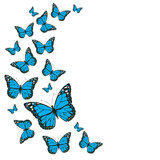 vector blue vintage butterflies