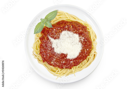 Dish of pasta with parmesan cheese shaped as Antarctica.(series)