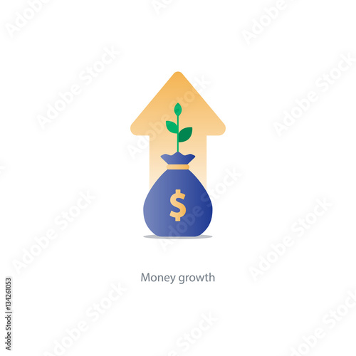 Finances and investment management, budget planning, compound interest, income