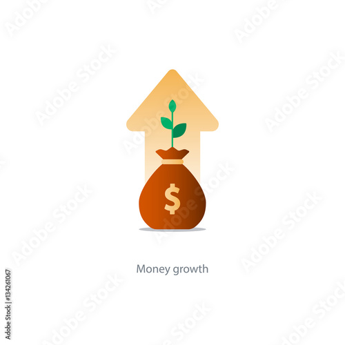 Finances and investment management, budget planning, compound interest, income