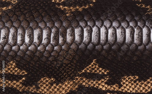 yellow-black skin texture