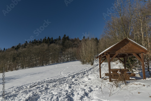 Forest near Cereniste and Tasov village