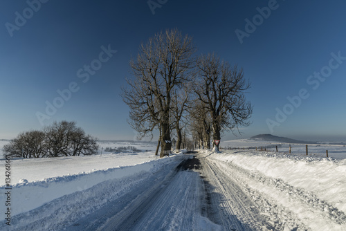 Winter road near Krasny Les village