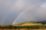 Rainbows over Maui