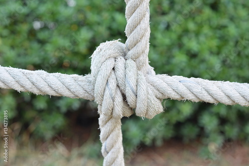 Rope knot line tied together with nature background,as a symbol for trust, teamwork or collaboration.