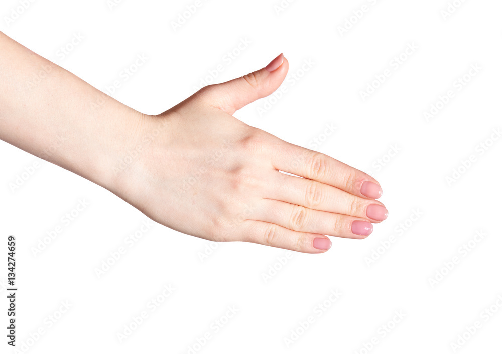 Female hands with woman's professional natursl pink nails manicu Female hands with woman's professional natursl pink nails manicu