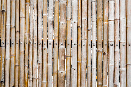 Background bamboo fence.
