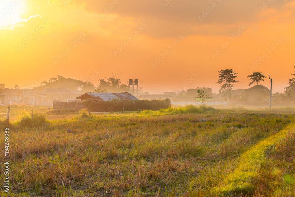 rural countryside landscape sunset