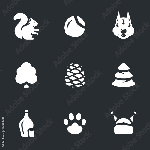 Vector Set of Squirrel Life.