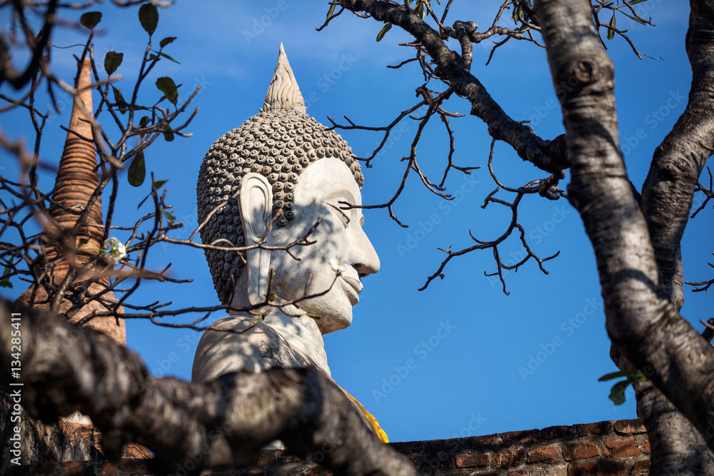 Buddha statue in Thailand Buddha statue in Thailand