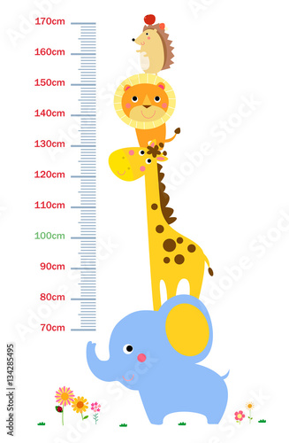 The child's height illustrations