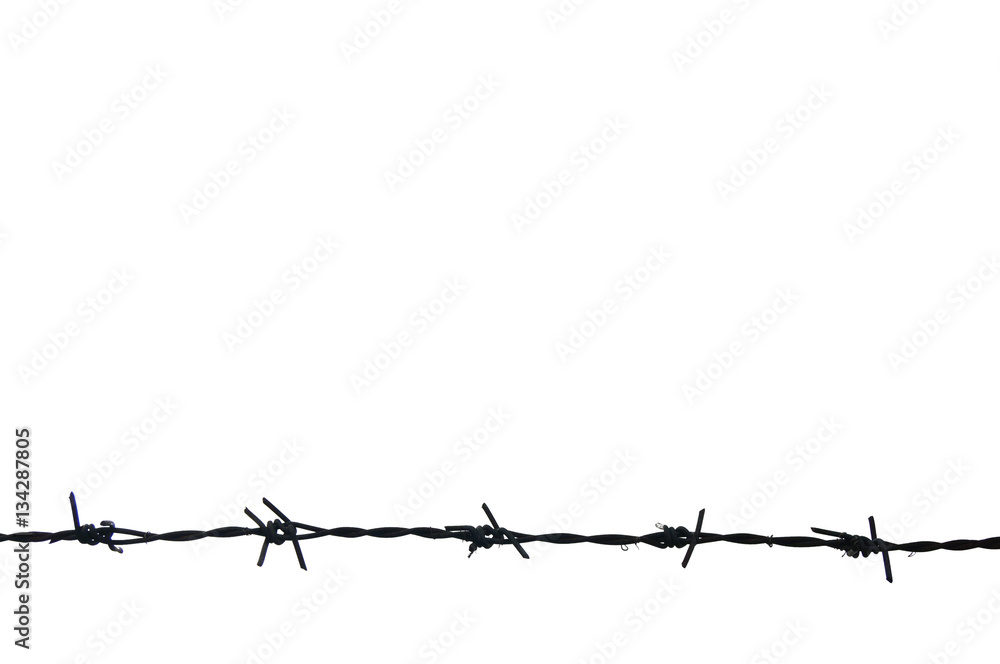 Silhouette Barbed wire and gray sky with copyspace Silhouette Barbed wire and gray sky with copyspace