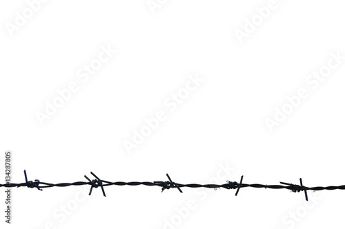 Wallpaper Mural Silhouette Barbed wire and gray sky with copyspace Torontodigital.ca