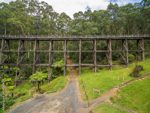Noojee old trestle bridge in eucalyptus forest