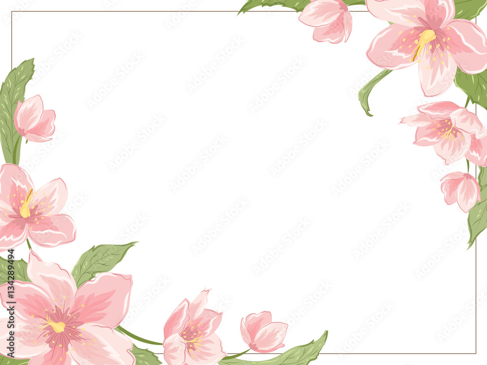 Corner frame template with sakura magnolia hellebore flowers on white background. Horizontal landscape orientation. Vector design illustration floral garland element for decoration, card, invitation. Corner frame template with sakura magnolia hellebore flowers on white background. Horizontal landscape orientation. Vector design illustration floral garland element for decoration, card, invitation.