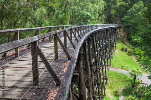 Noojee old trestle bridge in eucalyptus forest.