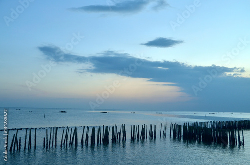 Wave barrier for conservation mangrove forest 