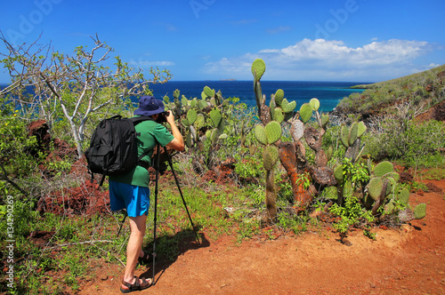 Man photographing Galapagos prickly pear on Rabida Island in Gal photo