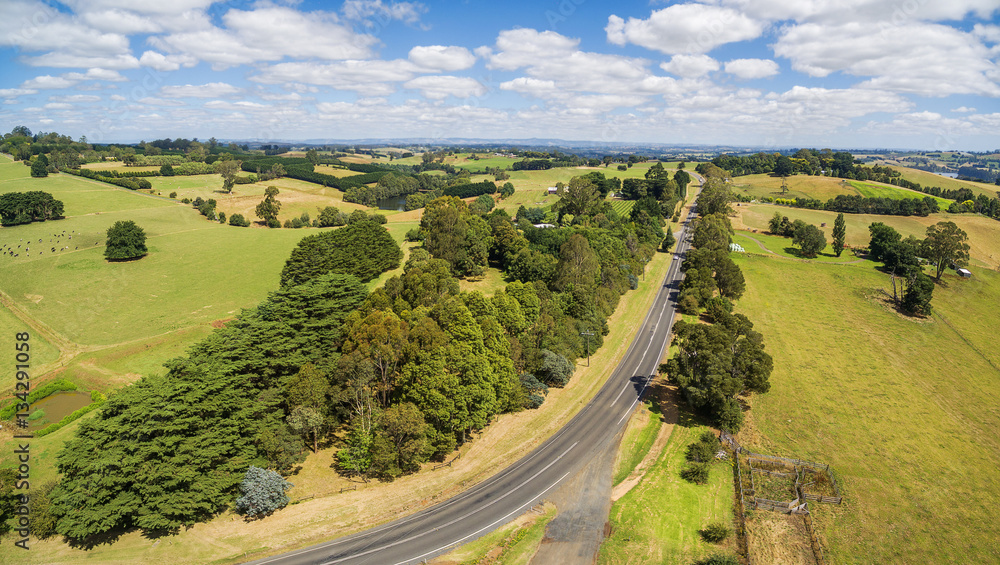 Aerial panorama of beautiful countryside. Trees, pastures, fields, road.