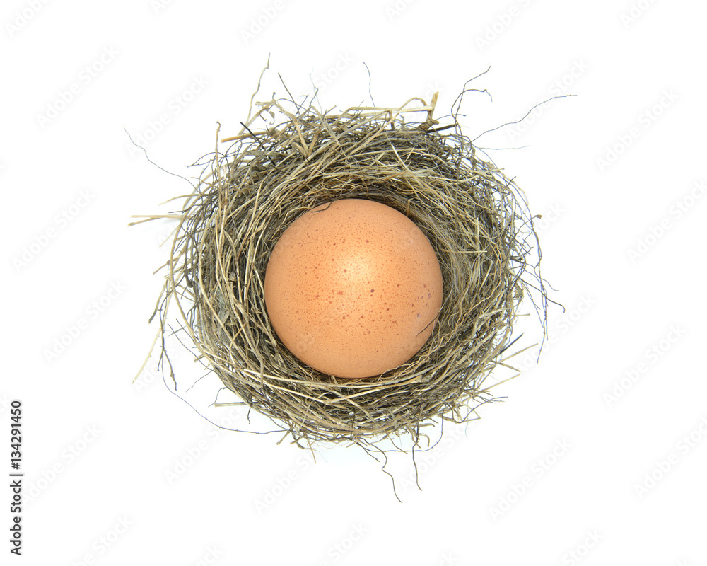 A bird nest filled with a large hen's egg viewed from above on a white background A bird nest filled with a large hen's egg viewed from above on a white background