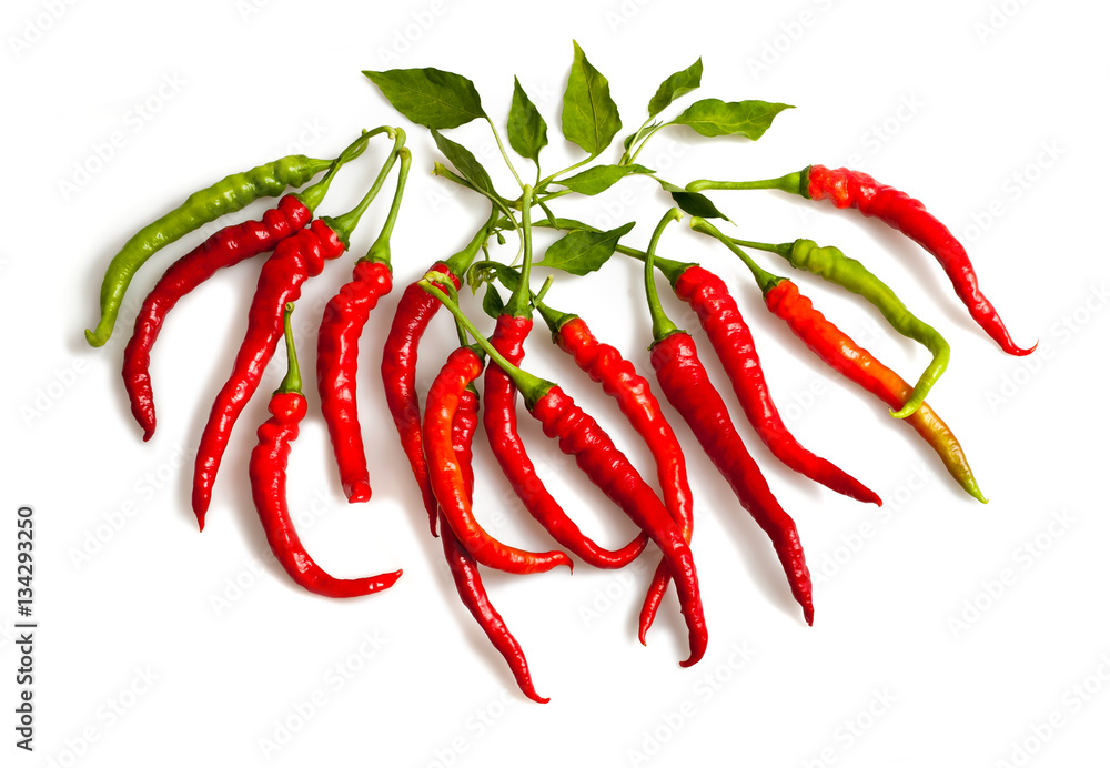 Pepper group isolated Pepper group isolated