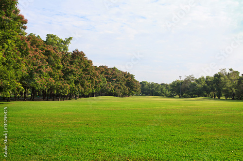Fototapeta Naklejka Na Ścianę i Meble -  Public park with green grass field