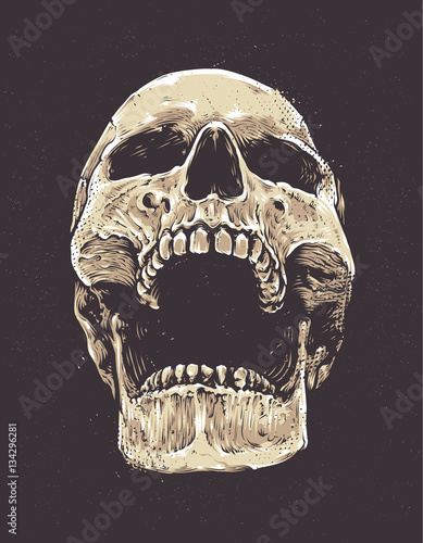 Anatomic Grunge Skull