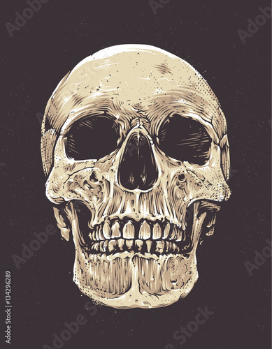 Anatomic Grunge Skull