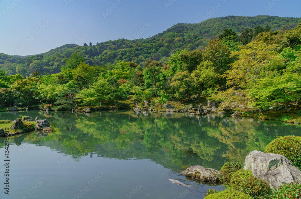 japanese landscape - tenryuji - kyoto