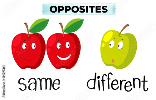 Opposite words for same and different