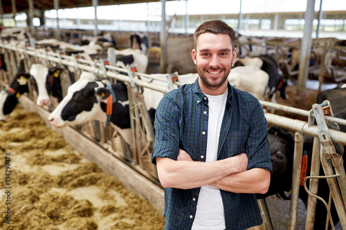 Fotografia man or farmer with cows in cowshed on dairy farm