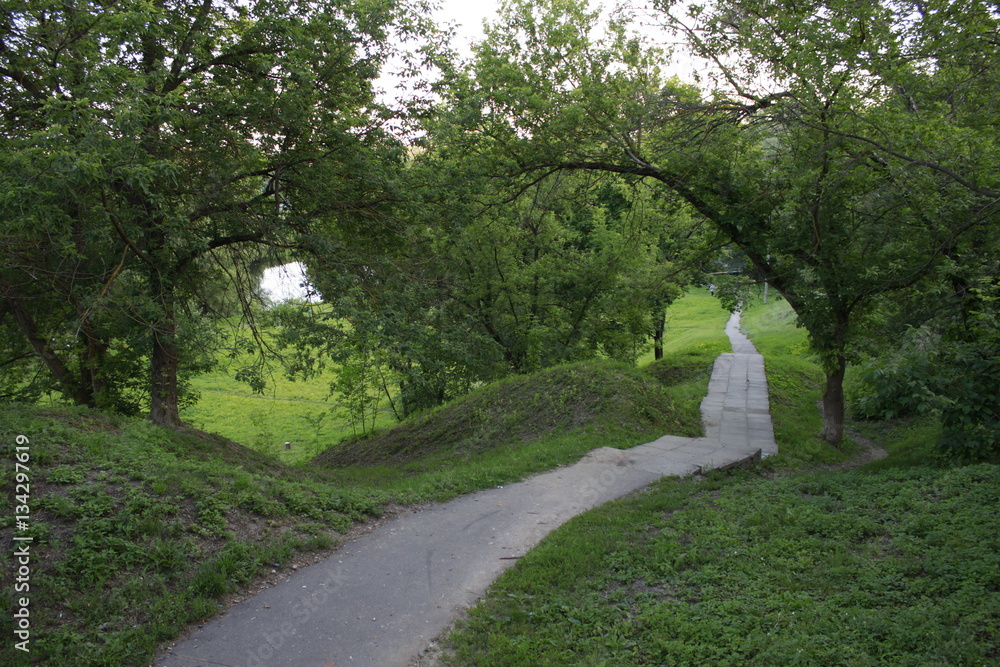 Fototapeta premium Green park