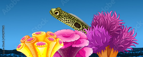Underwater scene with fish and coral reef
