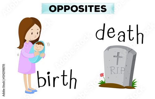 Opposite flashcard for birth and death