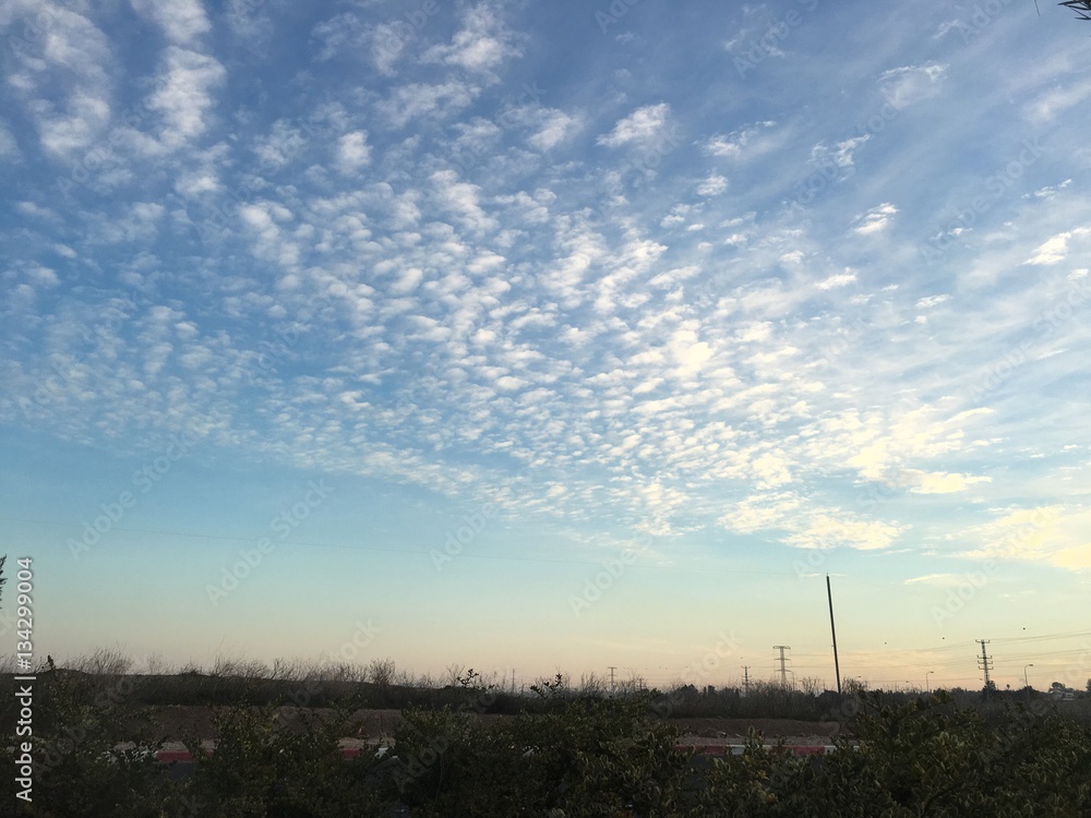 sky view in winter times sky view in winter times