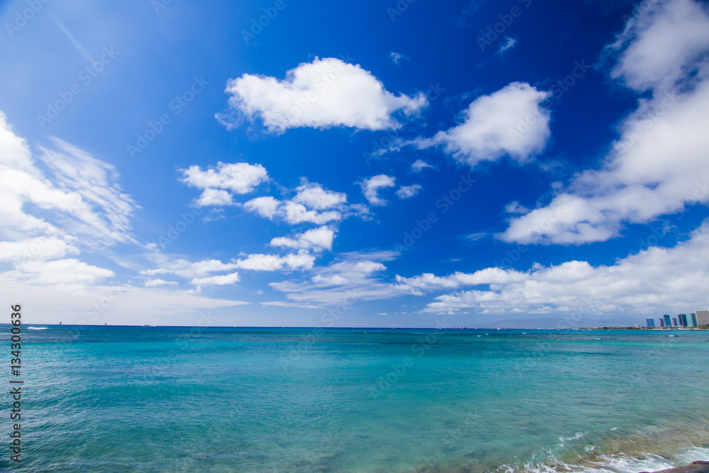 Fototapeta premium ワイキキの海