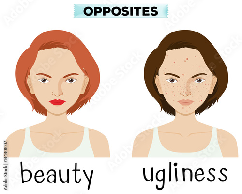 Opposite words for beauty and ugliness
