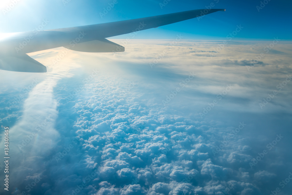 Obraz premium The wing in the sky on the background of the cloud