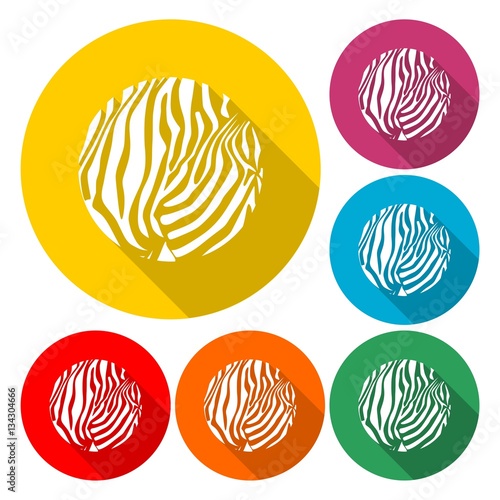 Zebra Print - Illustration