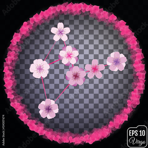 Zodiac sign Virgo. Sakura concept. Flowers concept. Constellatio