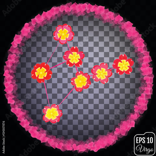 Zodiac sign Virgo. Primrose concept. Flowers concept. Constellat