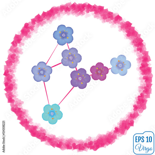 Zodiac sign Virgo. Primula concept. Flowers concept. Constellati