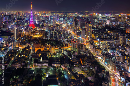 Tokyo city view visible on the horizon