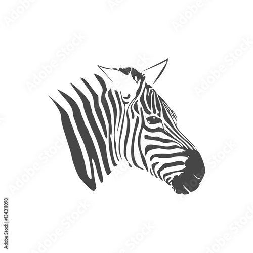 Zebra icon - vector Illustration 