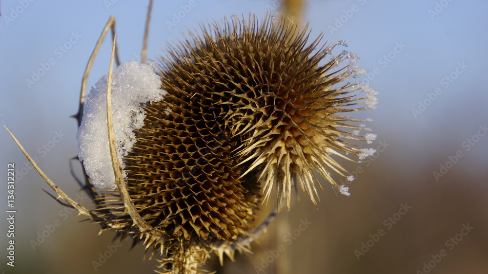 Der Winter von seiner schönen Seite Der Winter von seiner schönen Seite